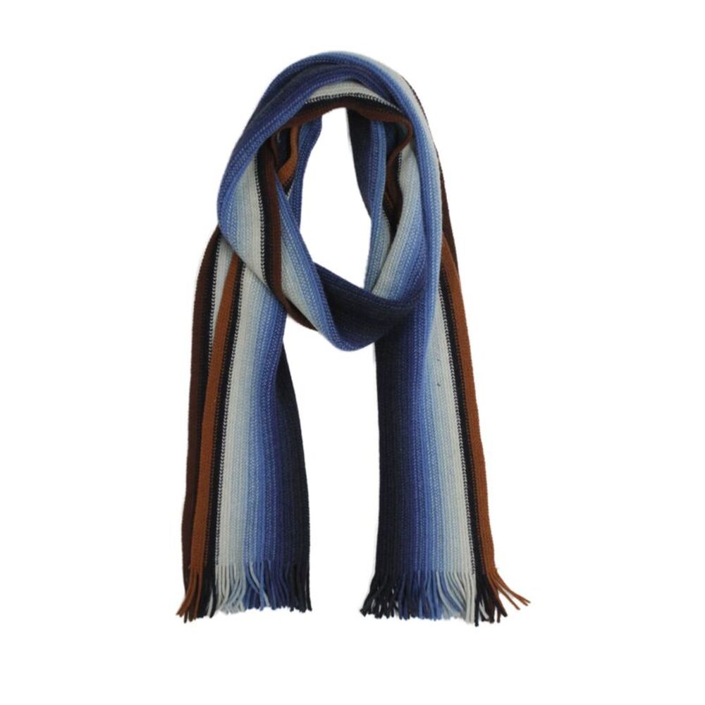 Paul Stuart Womens Fringe Trim Scarf Blue Brown Wool Blend Size One Size
